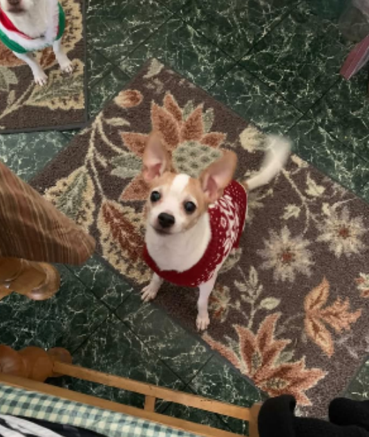 Jake, My Miracle Boy