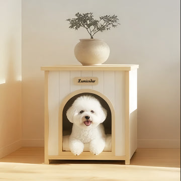 10 Everyday Habits That Can Add Years to Your Pet's Life