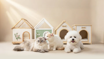 When Pet Furniture Finally Feels Like Home Furniture