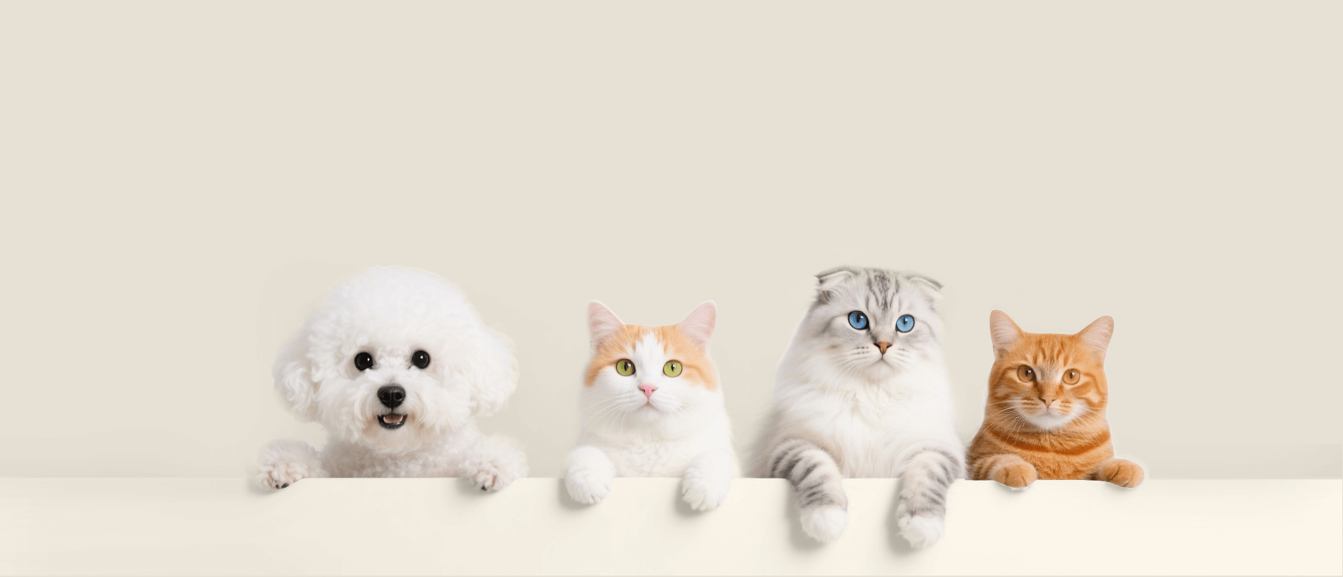 slider image slider_item_ibEQ9A