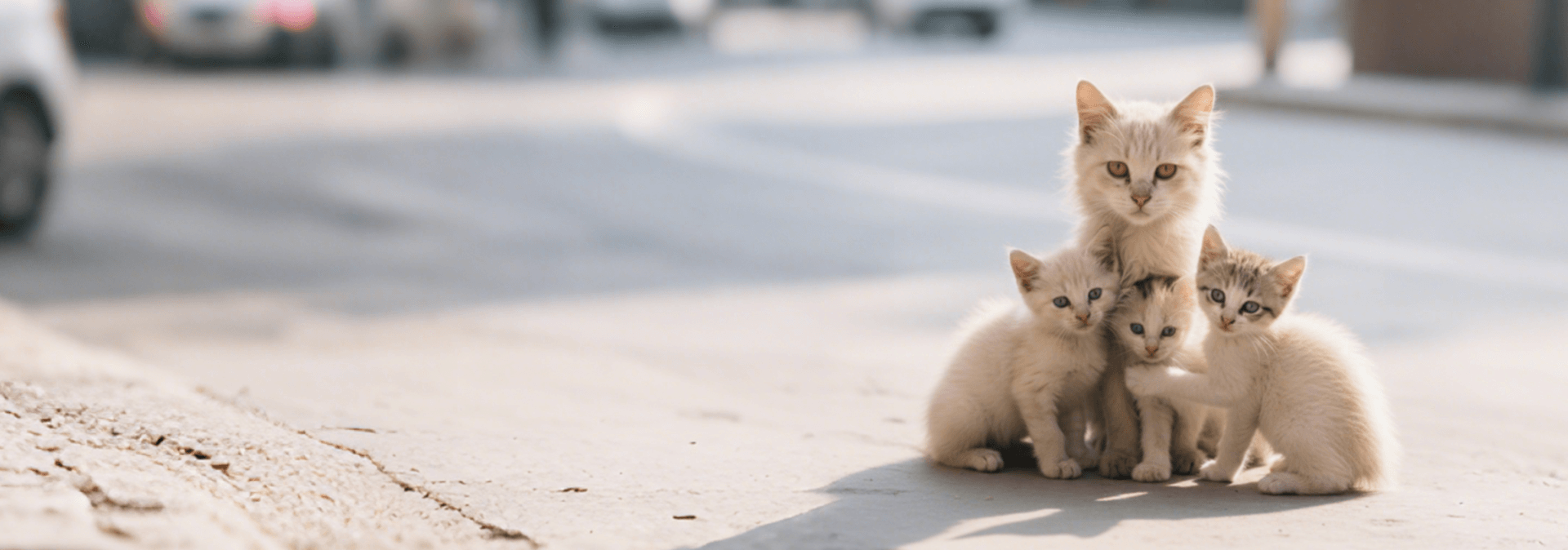 slider image slider_item_ibEQ9A