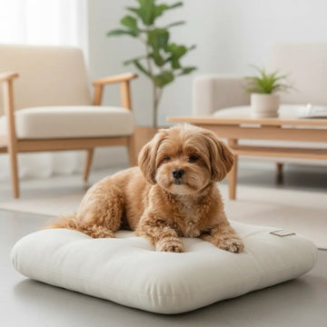Luxury Pet Cushion for Small Dogs & Cats – Ultra Soft Thermal Knit Dog Cushion, Washable Calming Puppy Mat, Human & Pet Shared Comfort Pad for Modern Homes