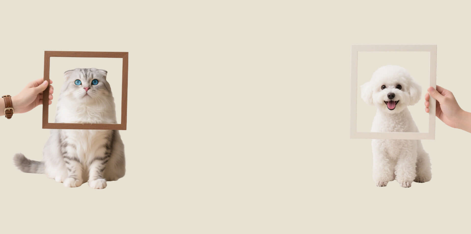 slider image slider_item_PRWpQr