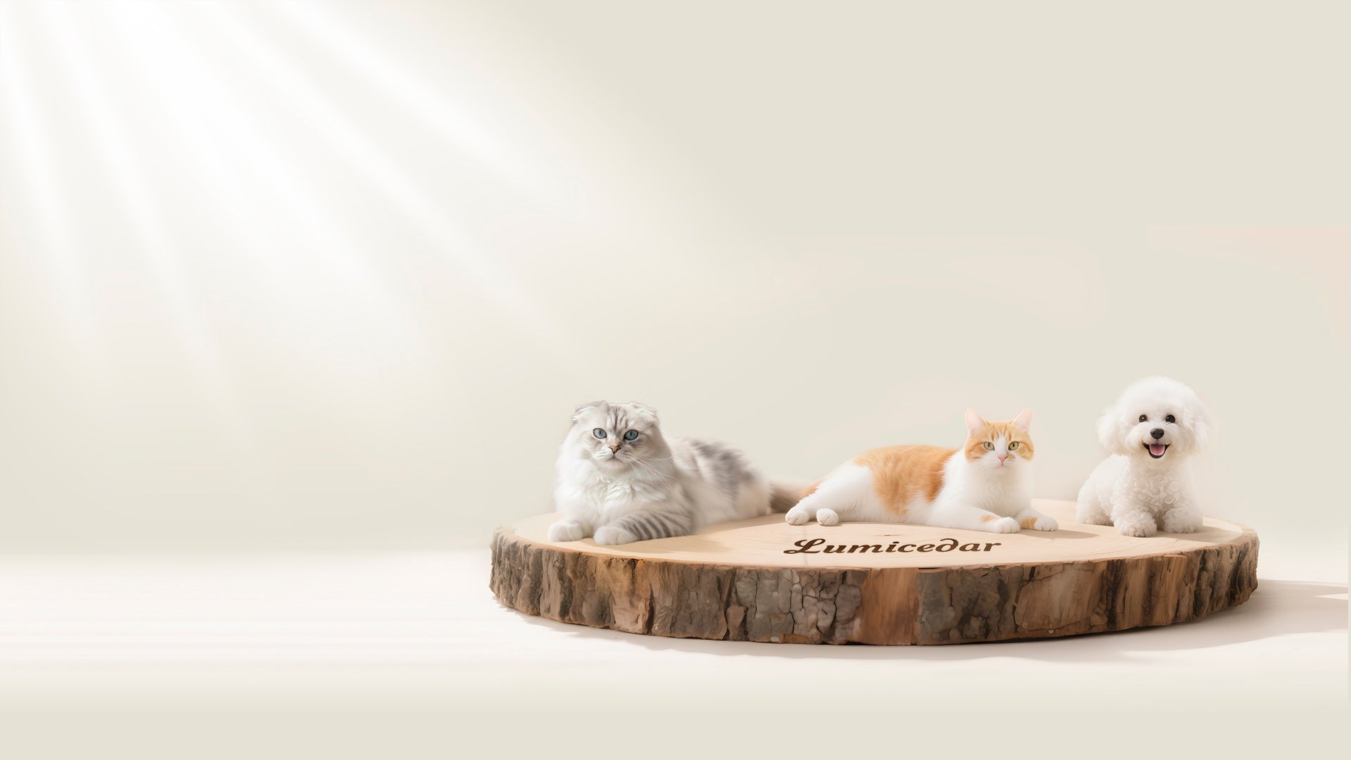 slider image slider_item_iH7p9y