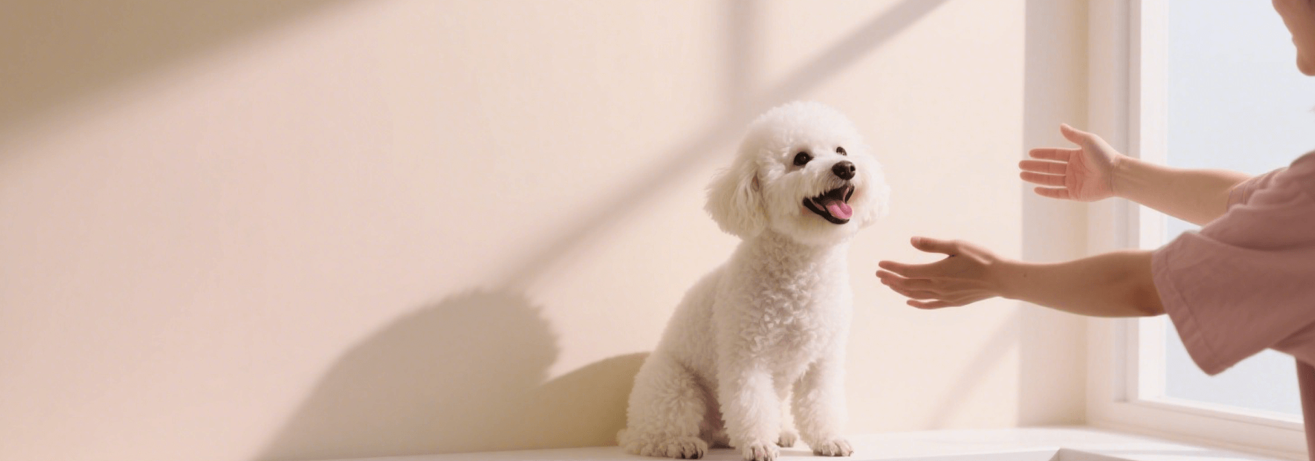 slider image slider_item_ibEQ9A