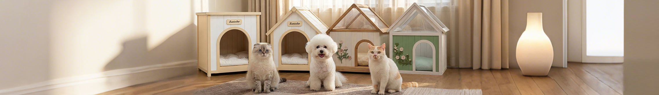 collection-banner-image