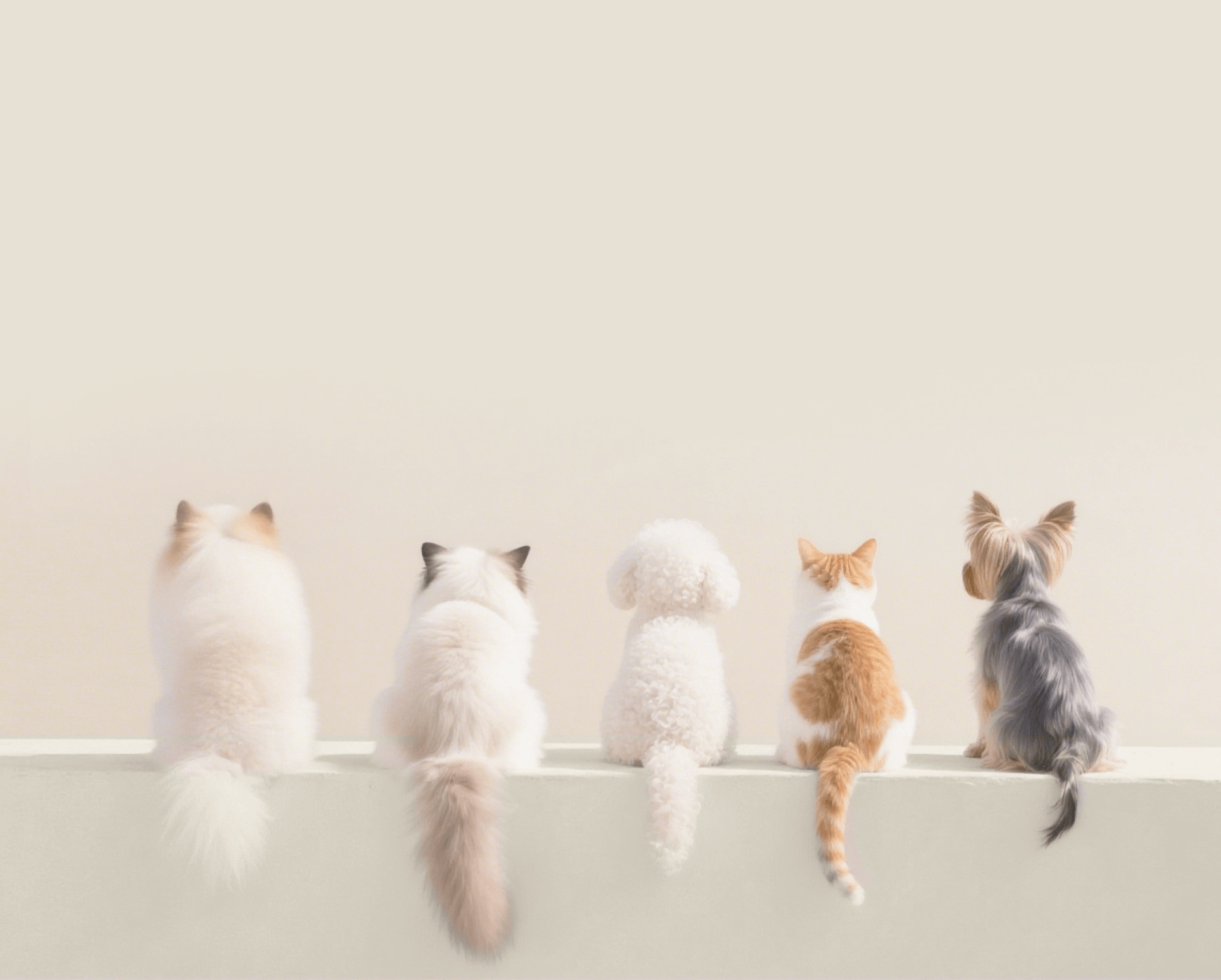 slider image slider_item_wfg7n8