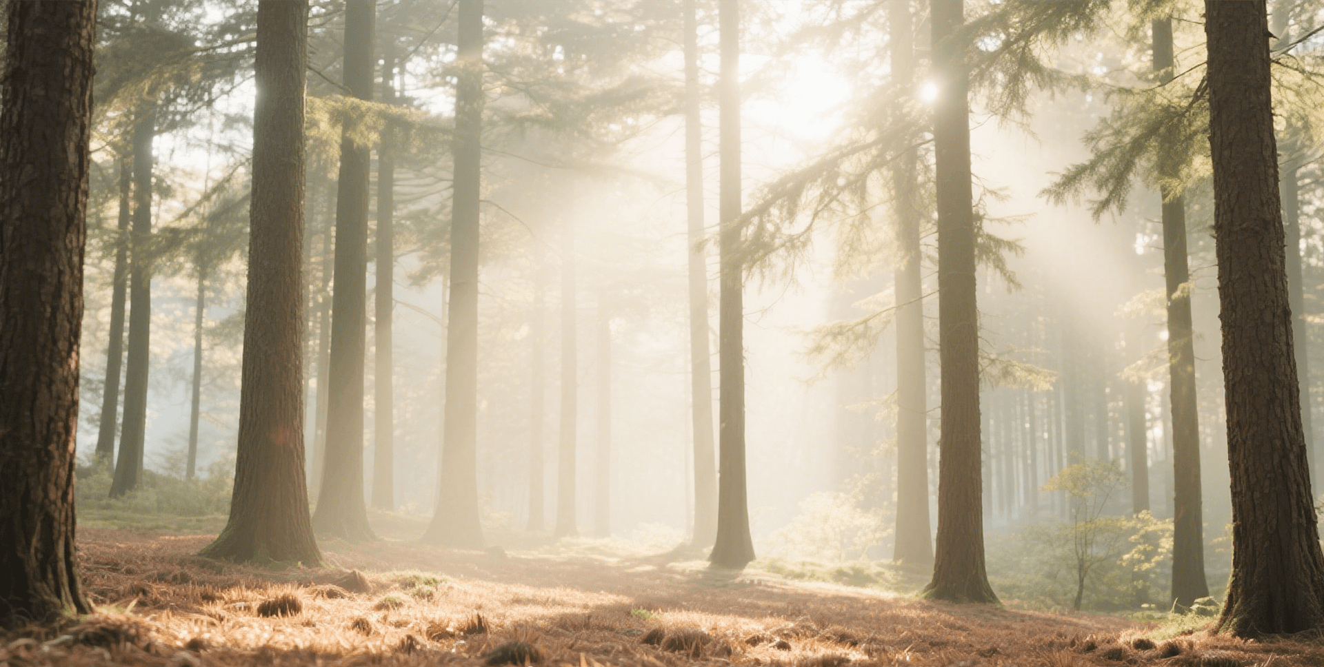 slider image slider_item_7Dnzr6