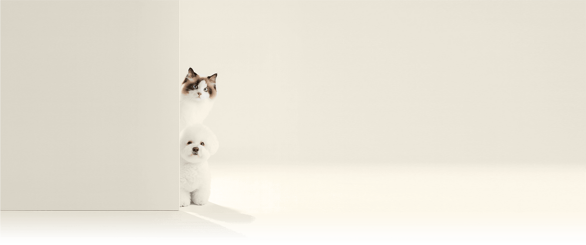 slider image slider_item_iXERWe