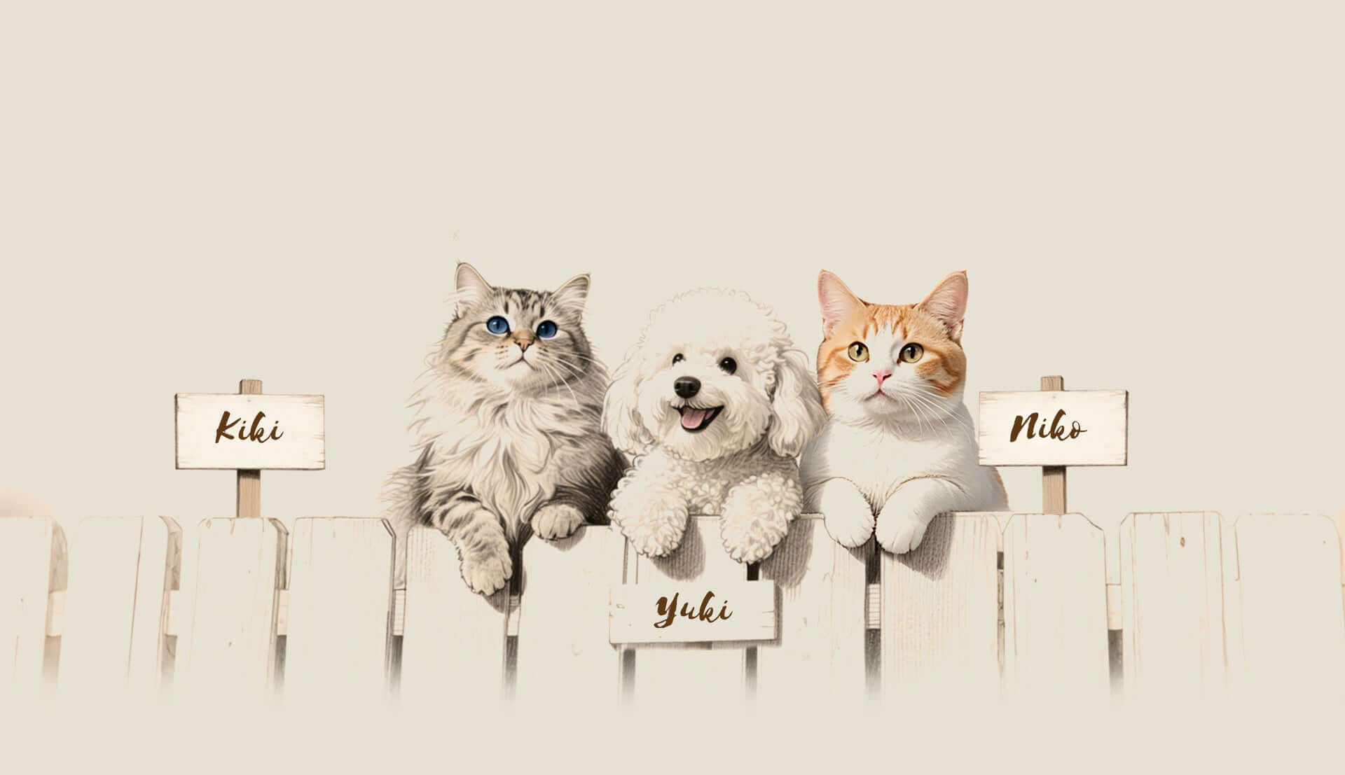 slider image slider_item_q9mqj3